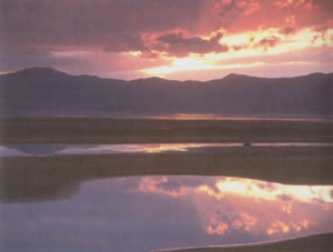 lake Kerkini at dawn
