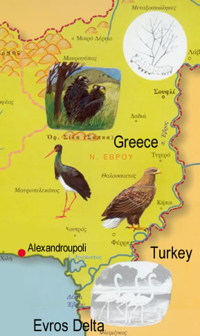 Map Evros Delta