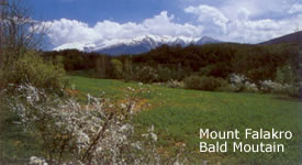 Mount falakor bald mountain