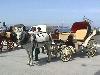 carriage on spetses