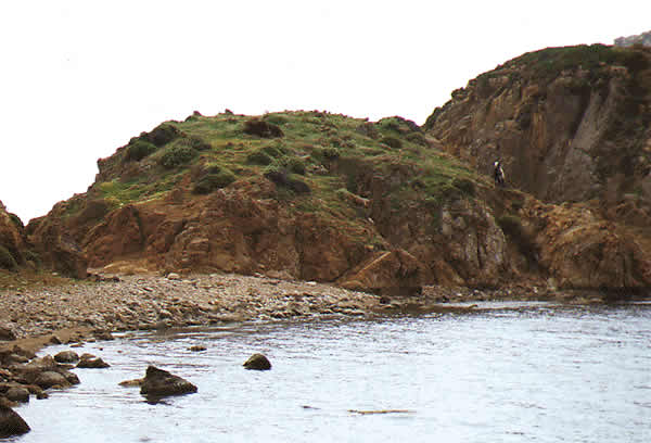 a rocky beach